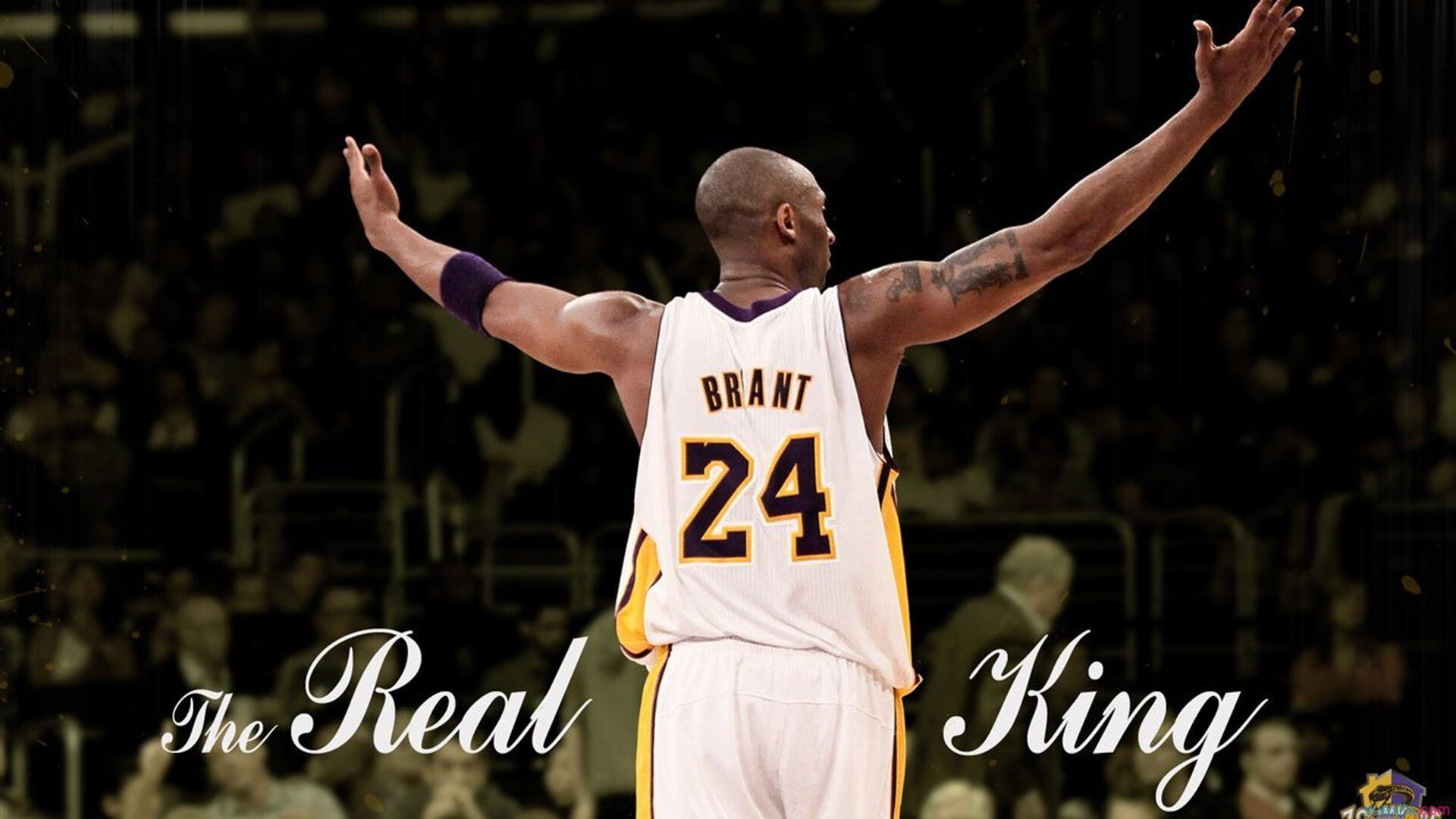 中国女篮的崛起令人振奋,中国女篮的发展历程